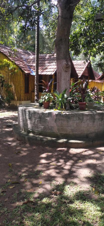 Savithri Inn Cottage Варкала Екстериор снимка